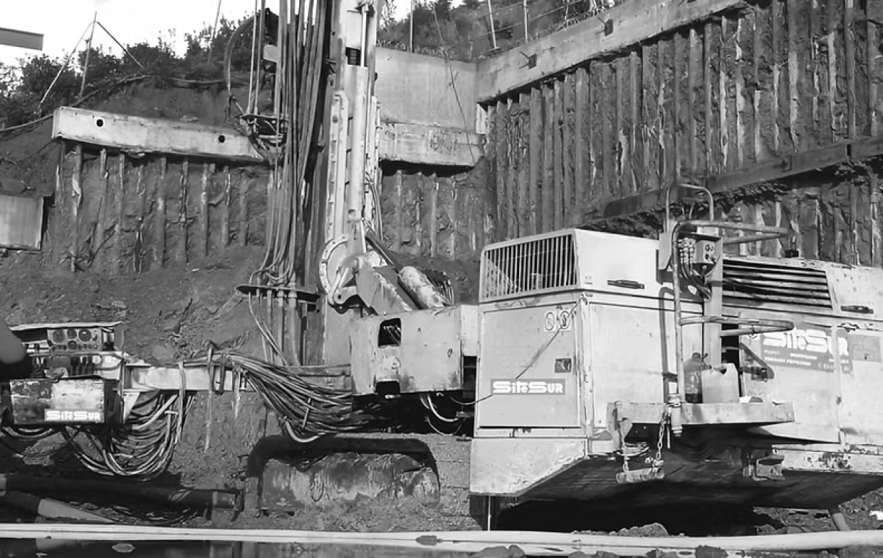 Líderes en el sector